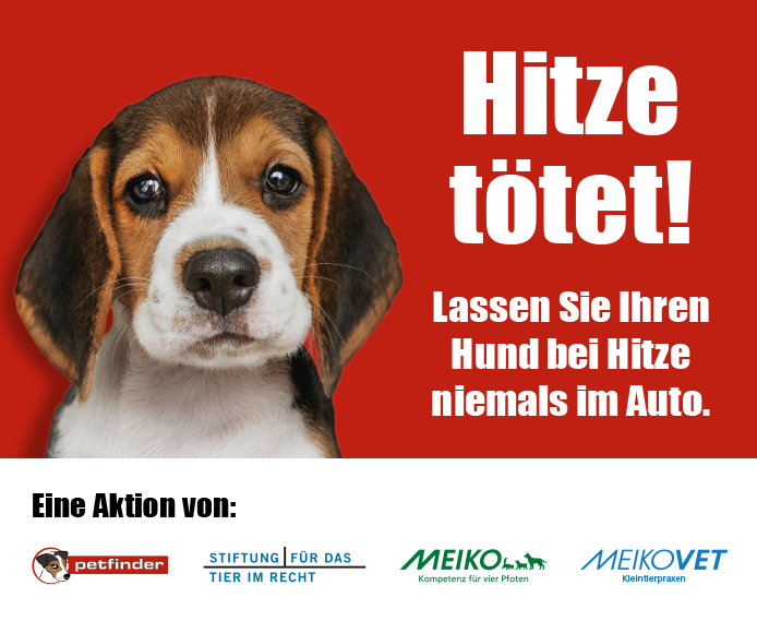 Lassen Sie Ihren Hund bei Hitze nicht im Auto.