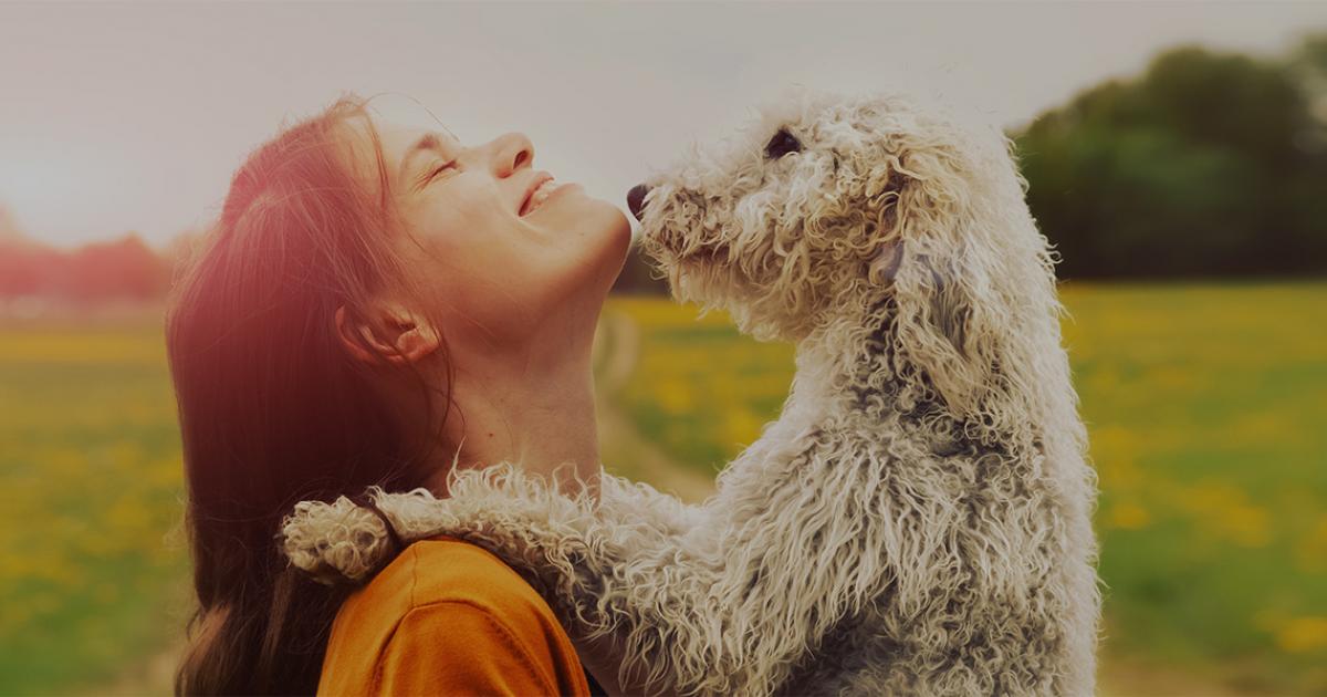 petfinder ch erfahrungen und bewertungen