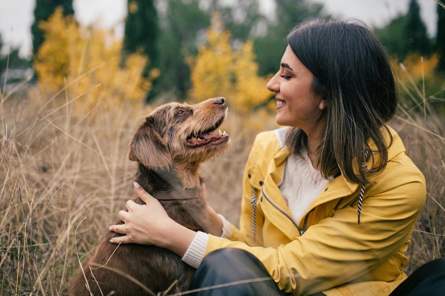 Hund mit Menschen