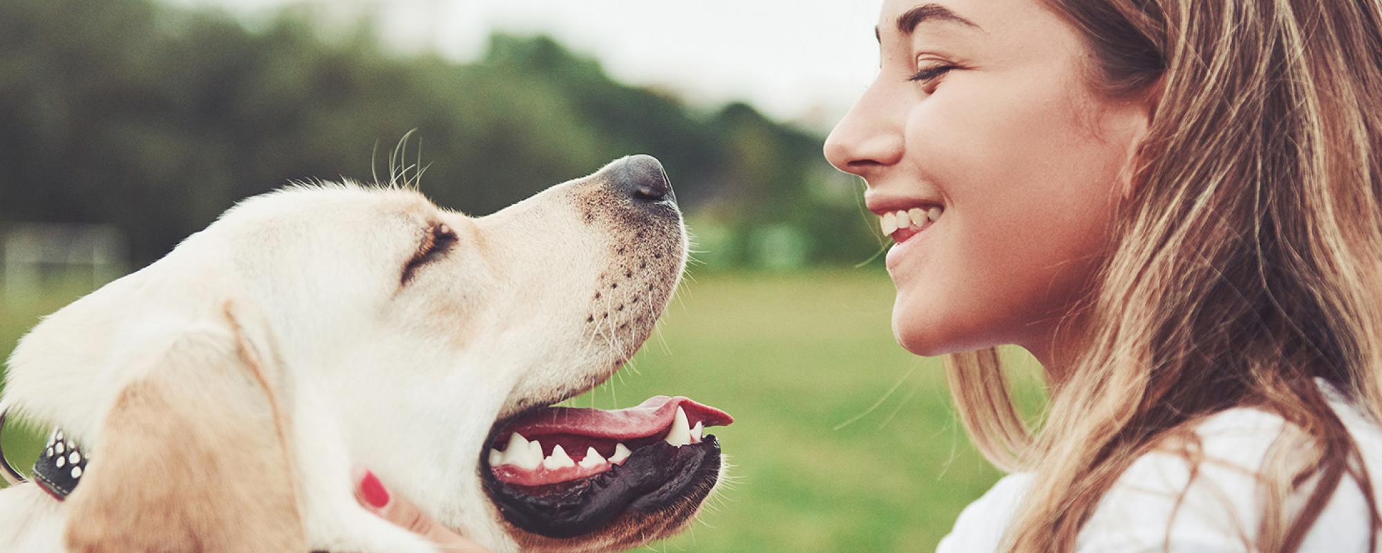 frau mit hund welcher hund passt zu mir