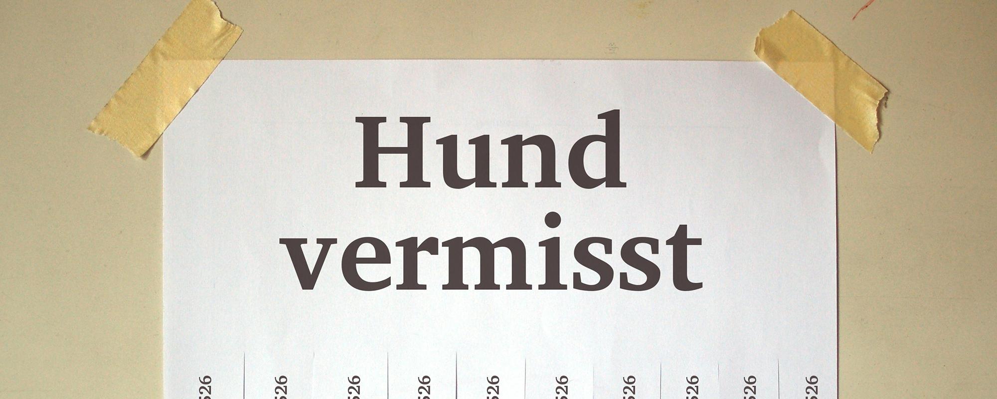 Was tun wenn der Hund entlaufen ist Petfinder Tiervermittlung