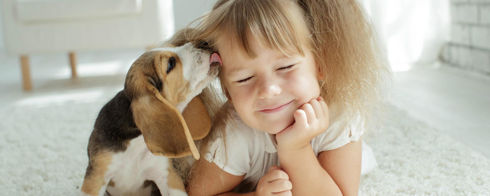 Kinderwunsch hund kinderwunsch hund