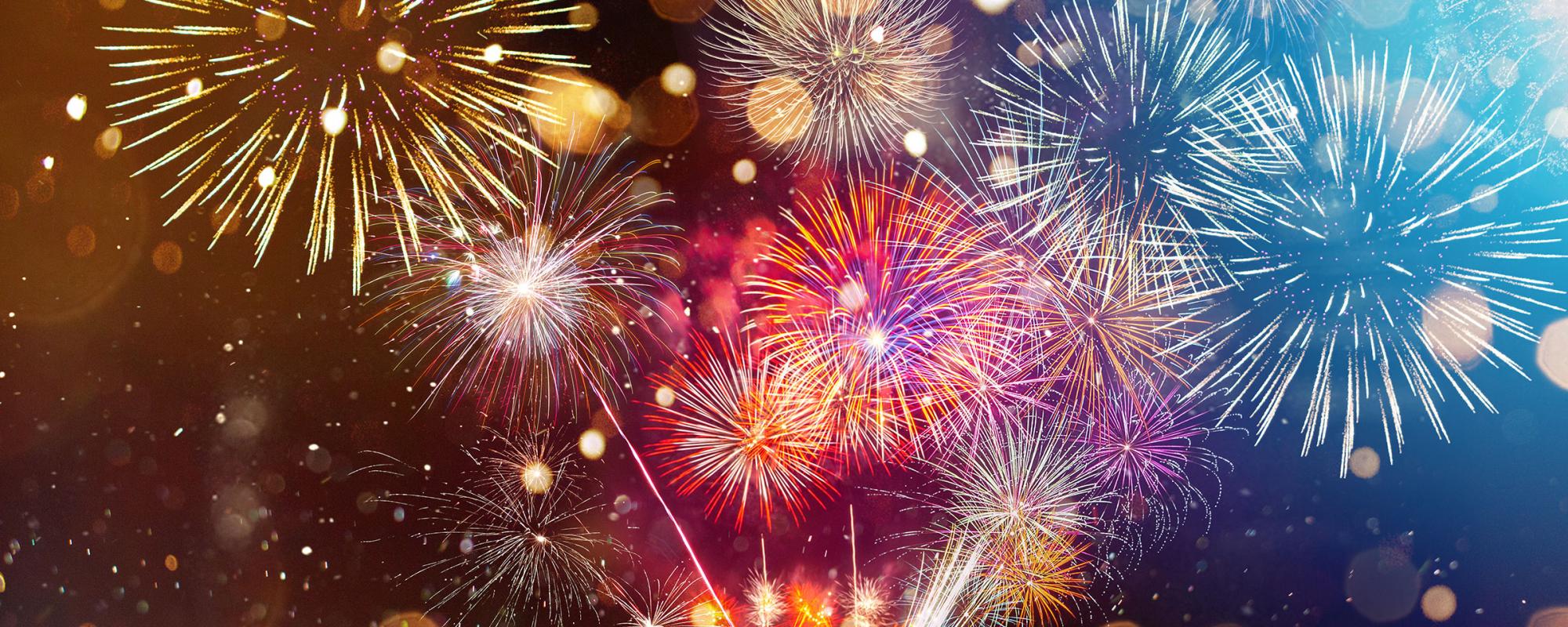 feuerwerk silvester ist der absolute stress für haustiere und wildtiere