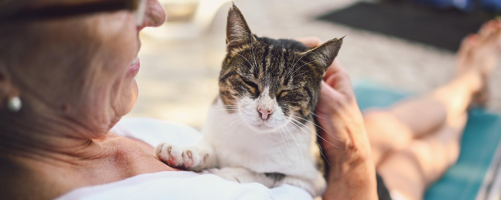 katze-senior-mit-frau
