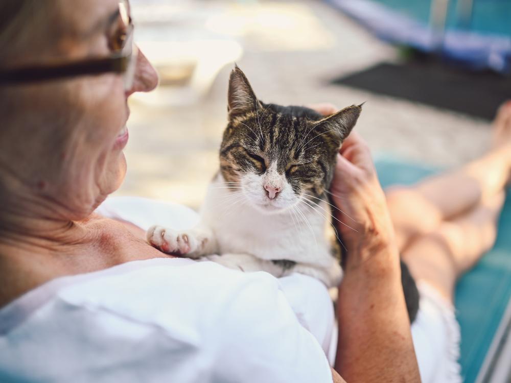 katze-senior-mit-frau