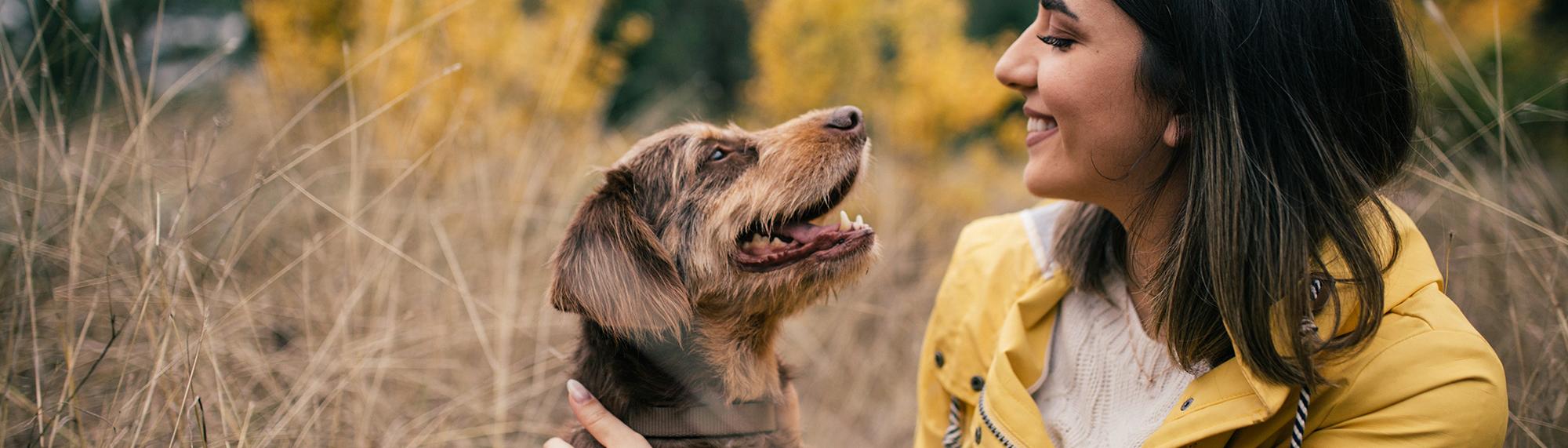 frau mit hund welches haustier passt denn überhaupt zu mir?