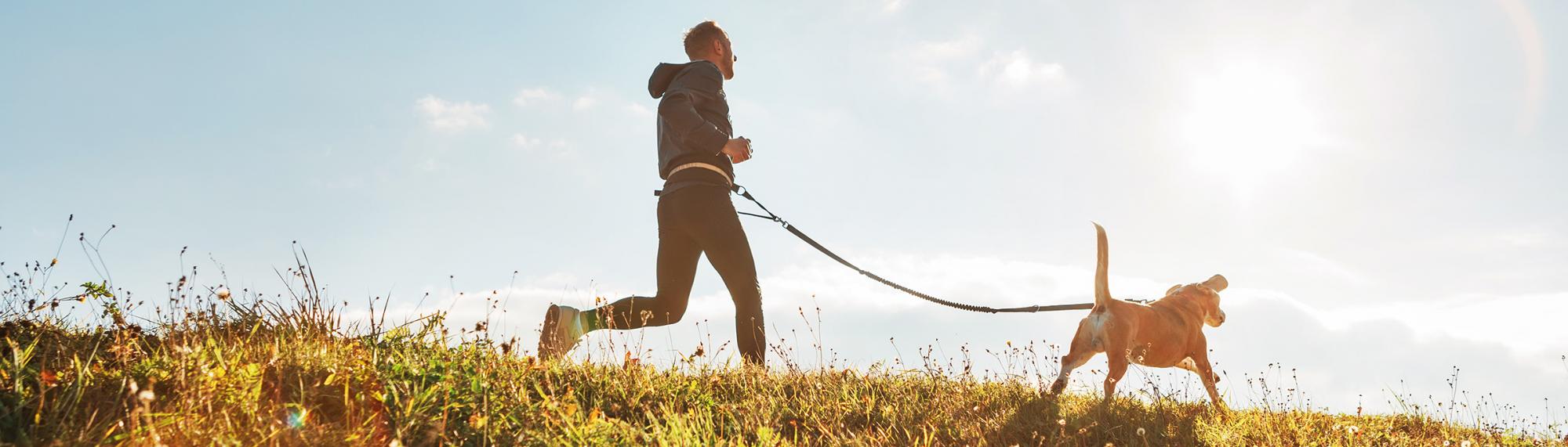 Informationen und Tipps zur Beschäftigung und Sport mit Hunden