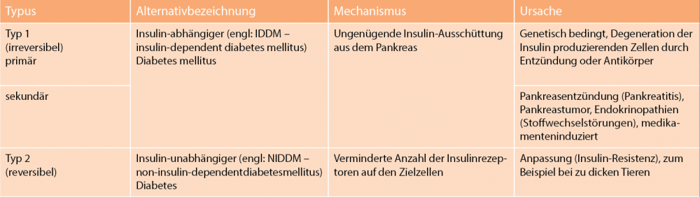 Diabetes mellitus bei Hund und Katze Erkennung, Behandlung, Therapie