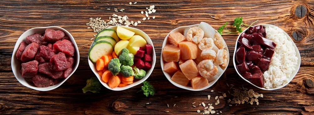 diverse Ernährungstrends bei Hunden und Katzen